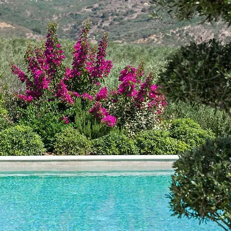 Readhostprofile&Scan! Luxury 4-Bedroom Villa With Pool Βίλα Σορωνή